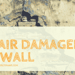 how to repair damaged drywall